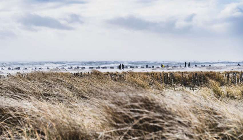 Verkaufsoffener Sonntag in Schleswig Holstein